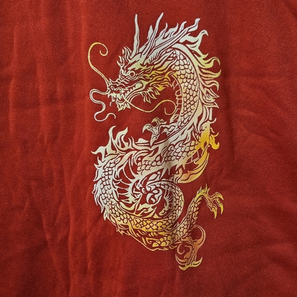 SHEIN Dragon Crewneck Sweatshirt Size XXL - Picture 4 of 4